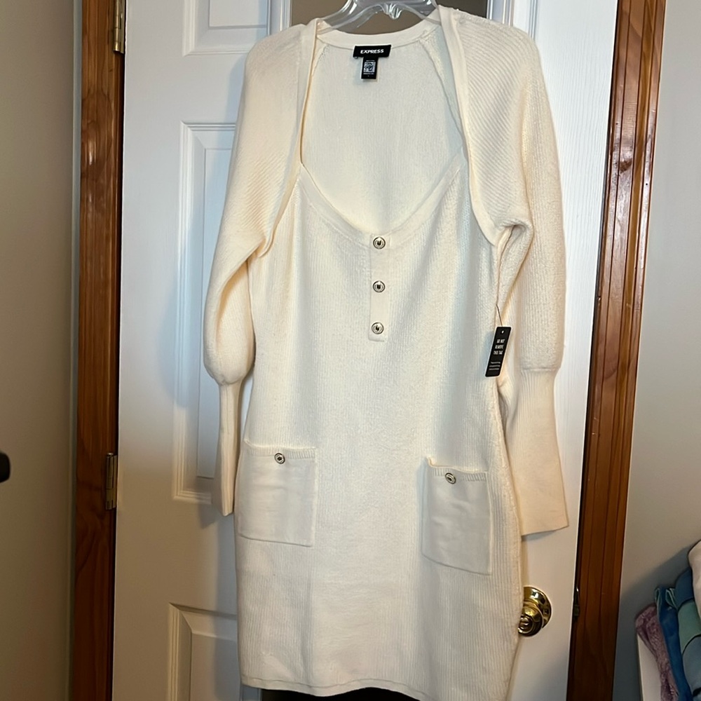 Express sweater dress